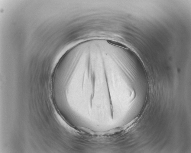 X0000053091531200508081258