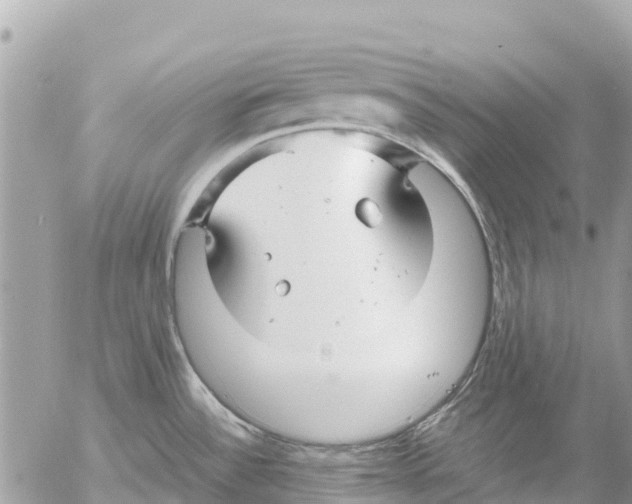 X0000053091532200508081258