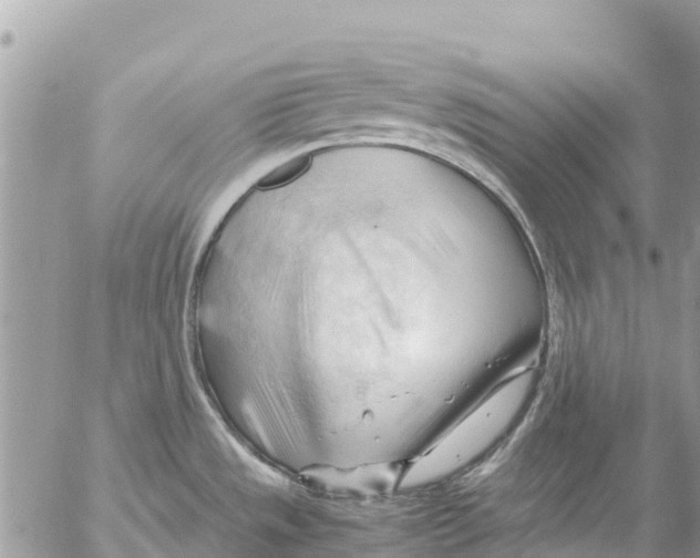 X0000053091533200508081258