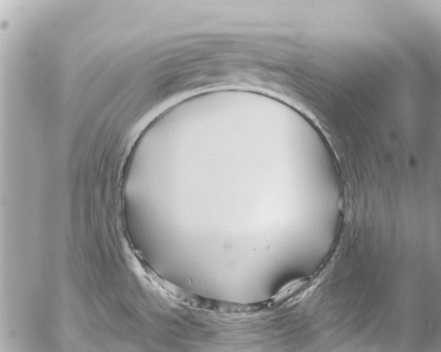 X0000053091534200508081258