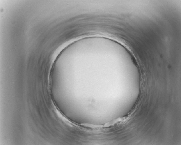 X0000053091535200508081258