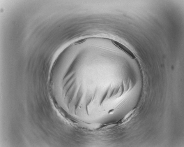 X0000053091536200508081258