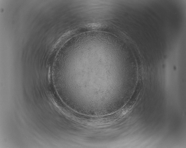 X0000053100024200507111236
