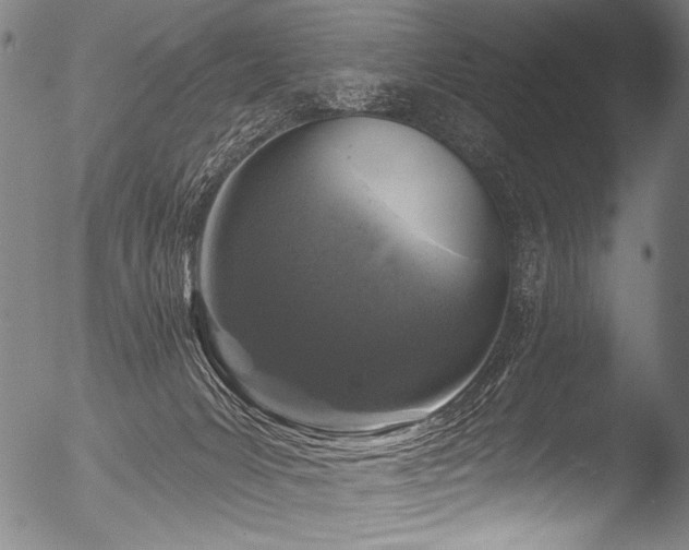 X0000053100031200507111236