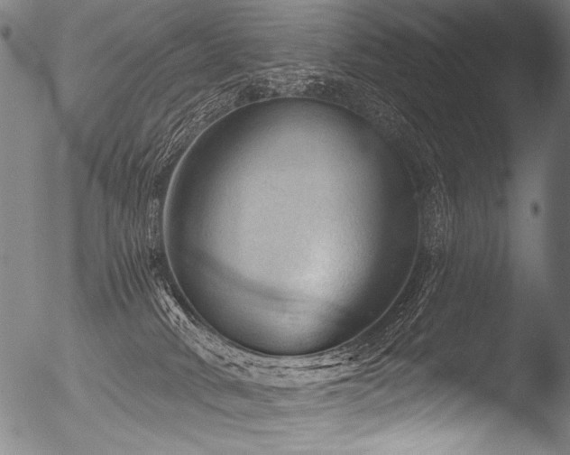 X0000053100034200507111236