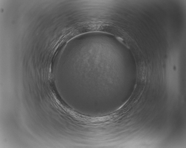 X0000053100035200507111236