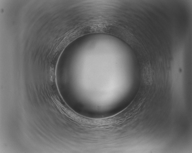 X0000053100038200507111236