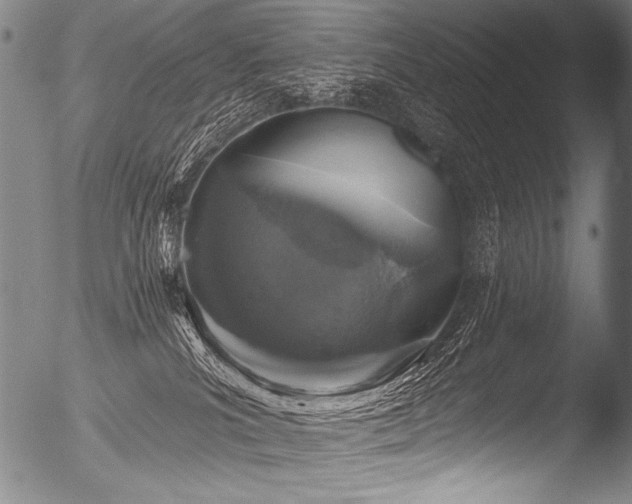 X0000053100039200507111236