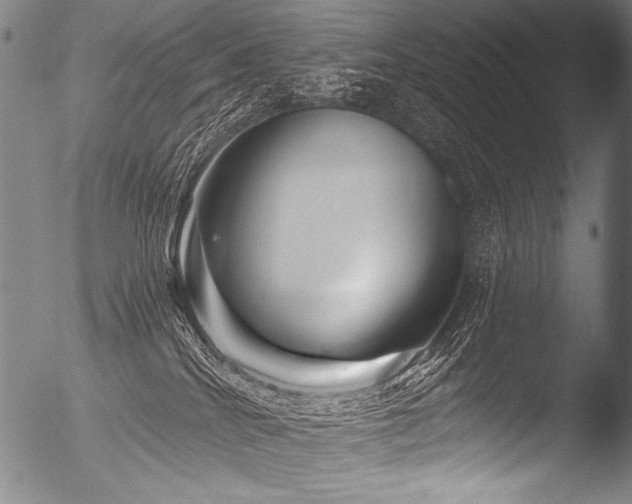 X0000053100040200507111236
