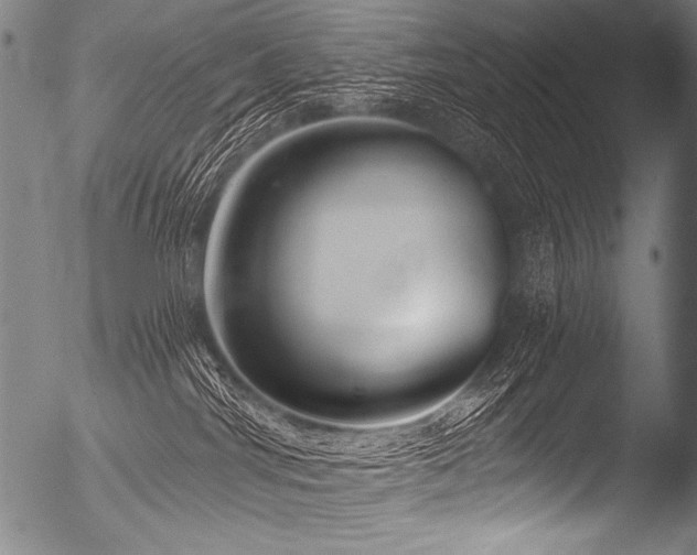X0000053100044200507111236