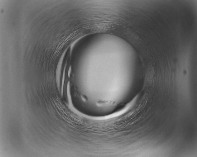 X0000053100045200507111236