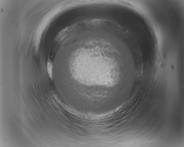 X0000053100047200507111235