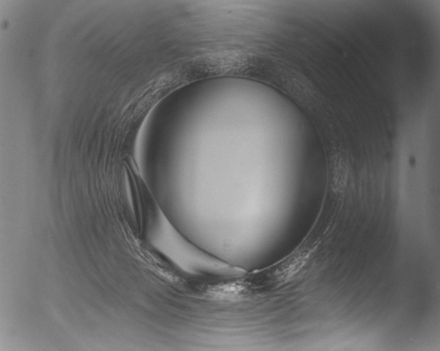 X0000053100077200507111235