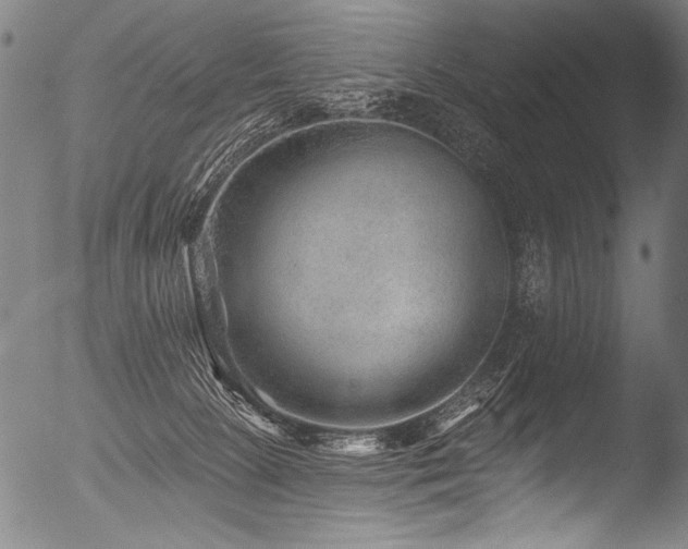 X0000053100081200507111235