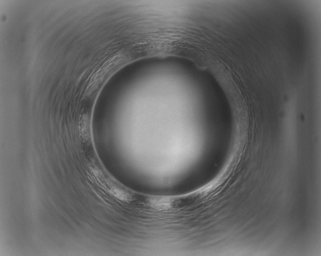 X0000053100144200507111234