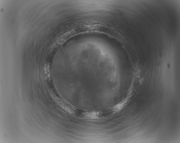 X0000053100182200507111234