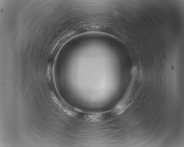 X0000053100188200507111234
