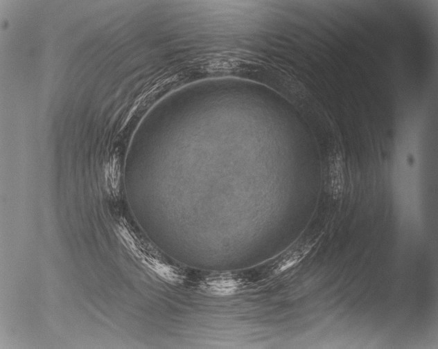 X0000053100228200507111232
