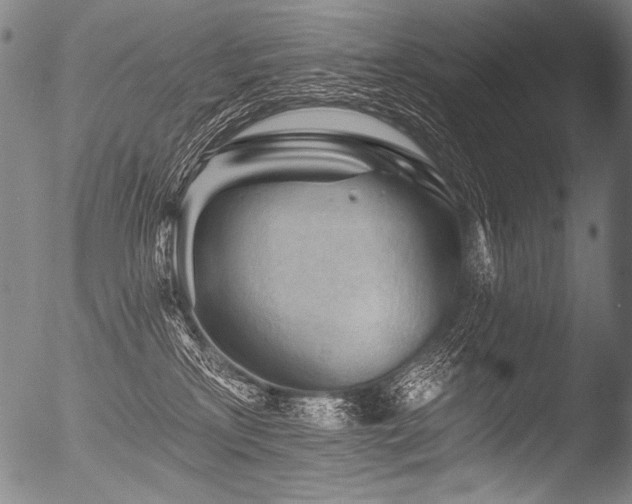 X0000053100233200507111232