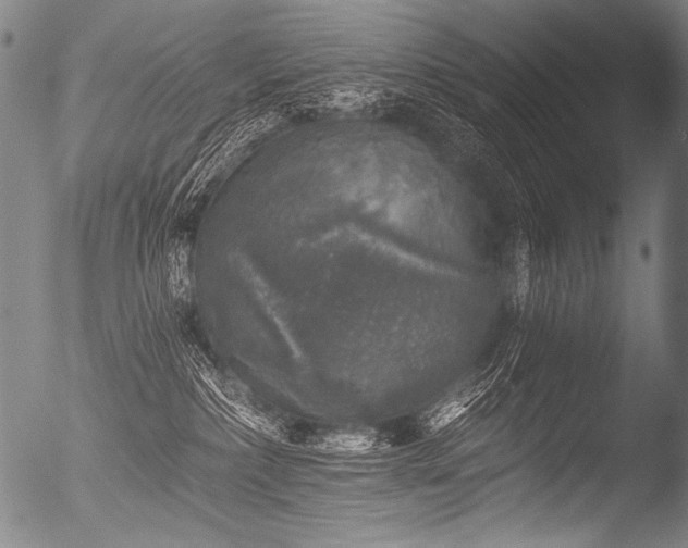 X0000053100236200507111232