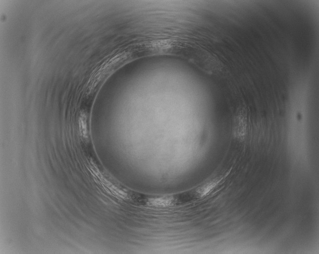X0000053100238200507111232