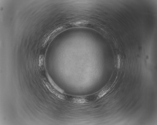 X0000053100284200507111232