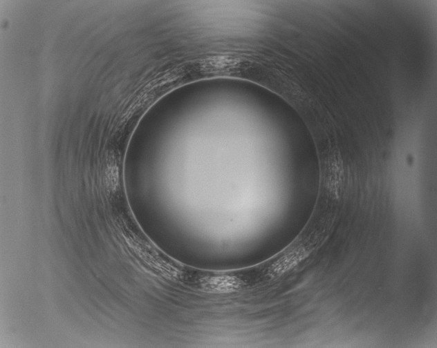 X0000053100324200507111231