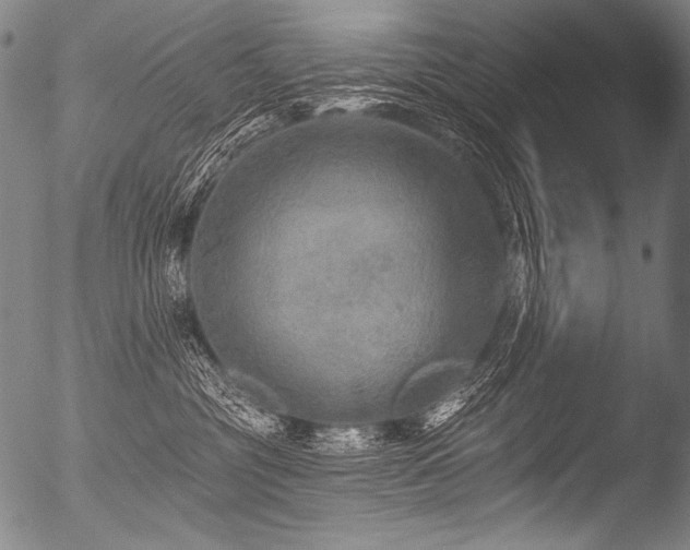 X0000053100381200507111231