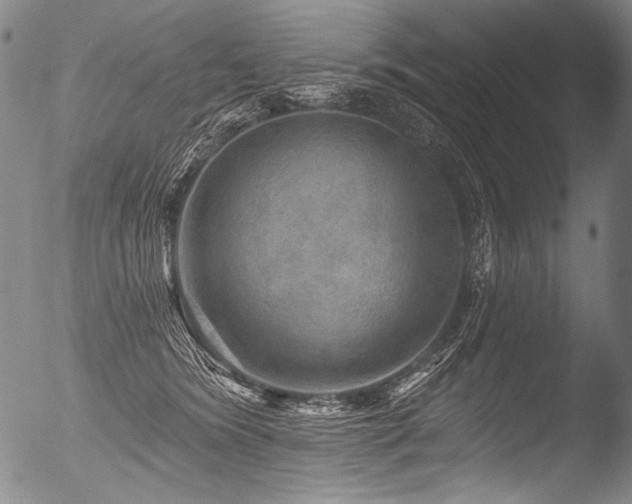 X0000053100420200507111229