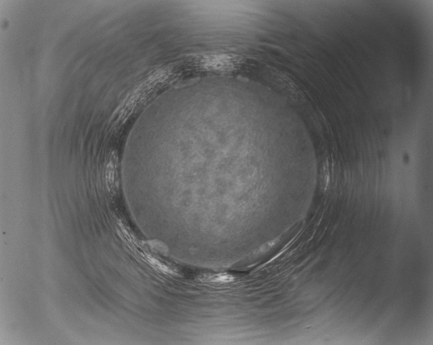X0000053100424200507111229