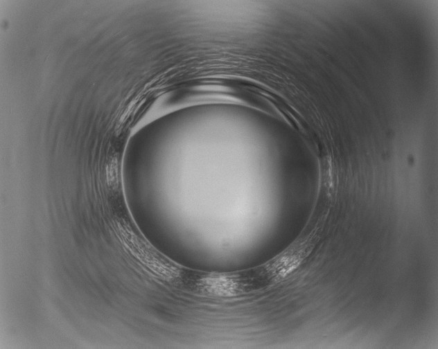 X0000053100425200507111229