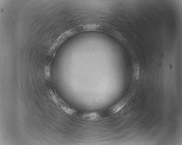 X0000053100431200507111229