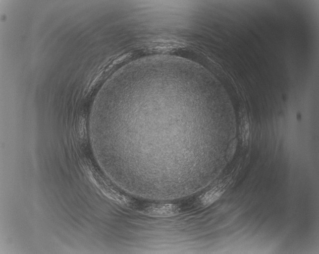 X0000053100459200507111228