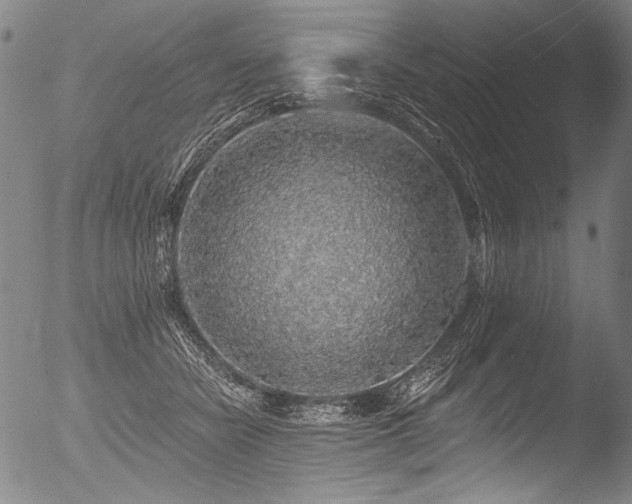 X0000053100462200507111228