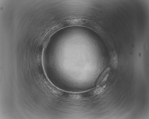 X0000053100469200507111228