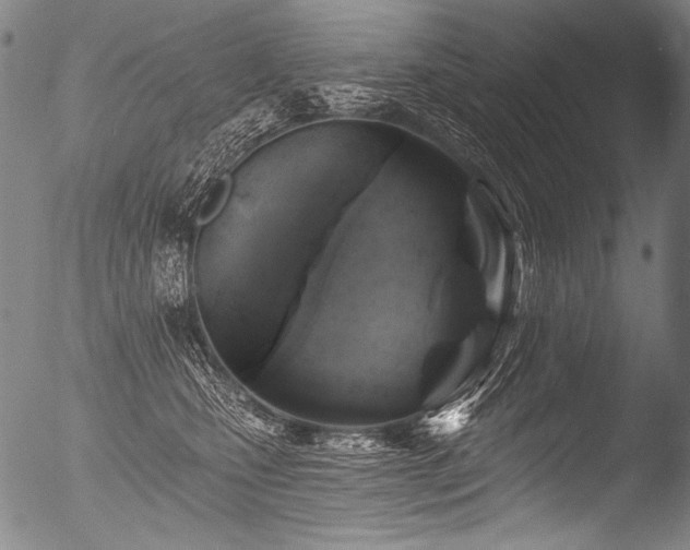 X0000053100471200507111228