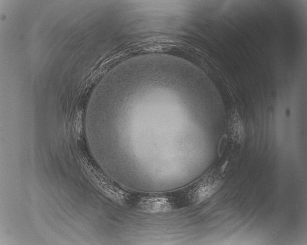X0000053100554200507111227