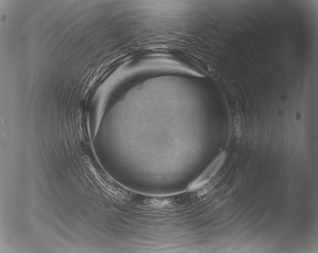 X0000053100570200507111227