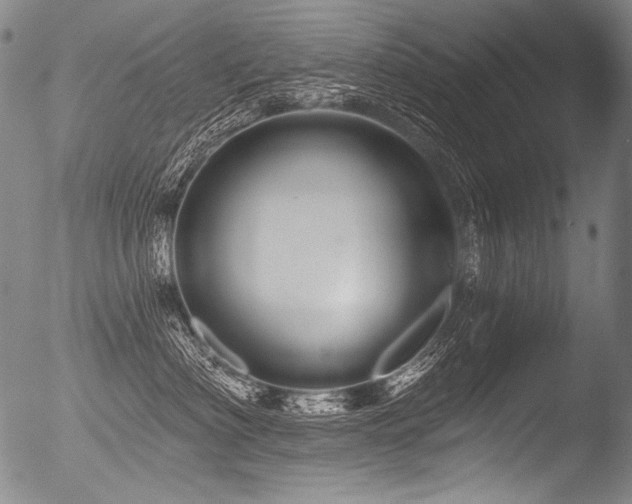X0000053100622200507111225