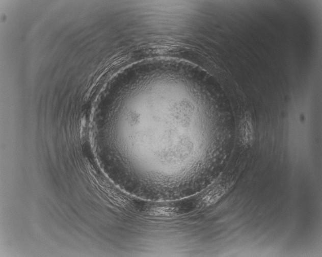 X0000053100657200507111225
