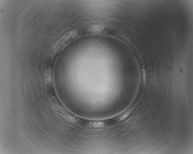 X0000053100665200507111225