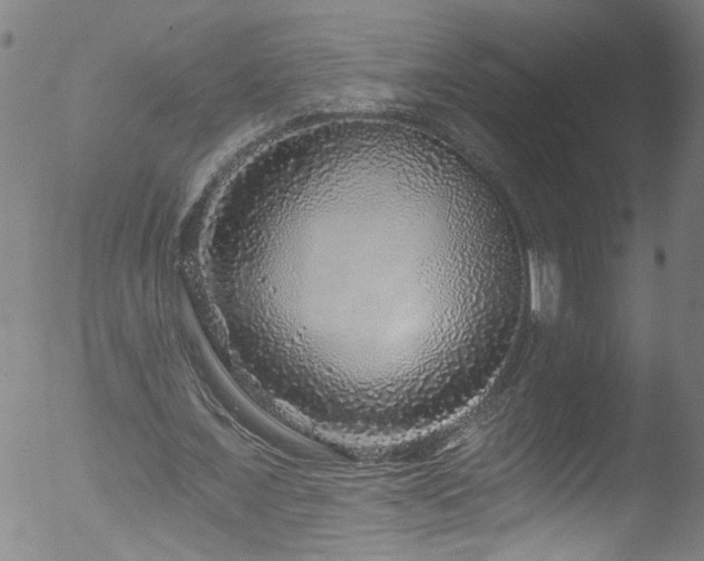 X0000053100675200507111224