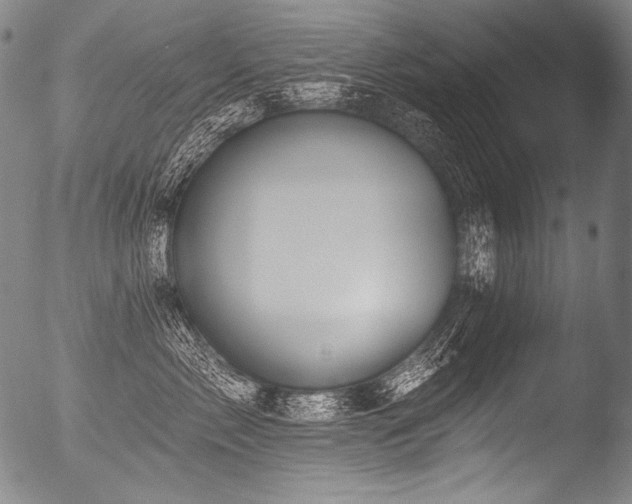 X0000053100717200507111224