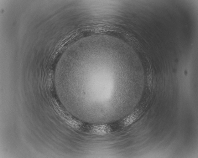 X0000053100757200507111223