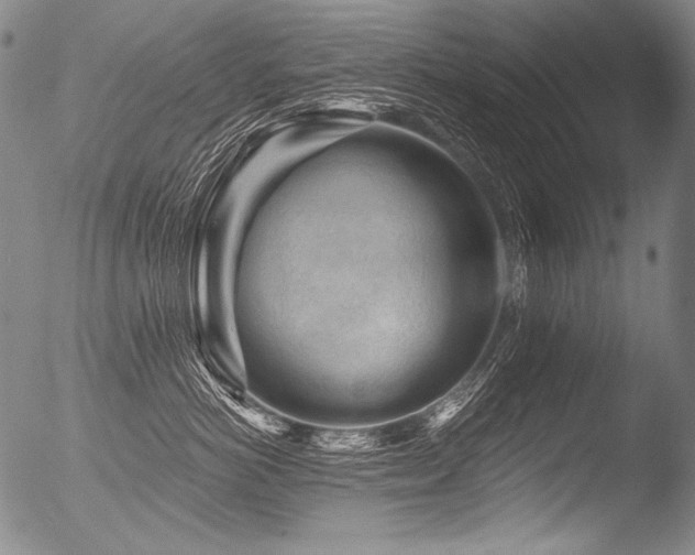 X0000053100766200507111224