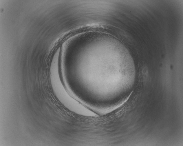 X0000053100776200507111223