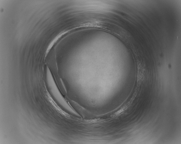 X0000053100796200507111222