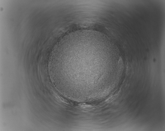 X0000053100817200507111221