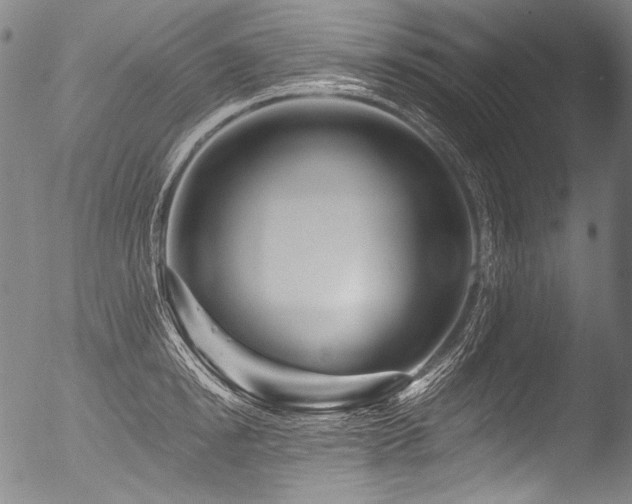 X0000053100854200507111222