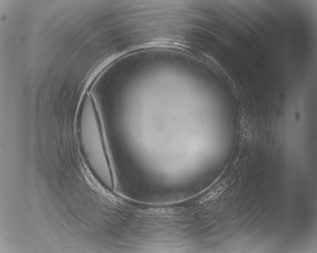 X0000053100900200507111221
